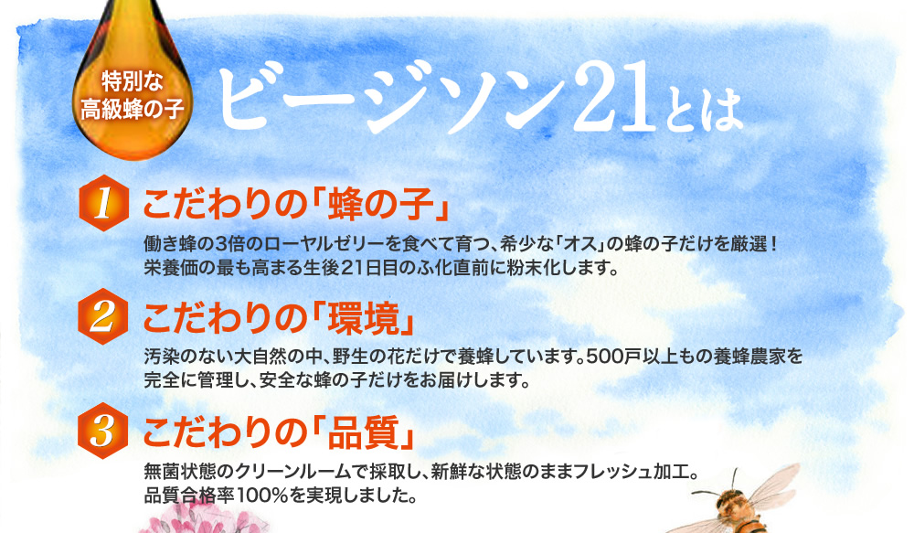 特別な高級蜂の子ビージソン21とは、働き蜂の3倍のローヤルゼリーを食べて育つ希少な「オス」の蜂の子だけを厳選して栄養価の最も高まる生後21日目のふ化直前に粉末化した高品質の蜂の子です