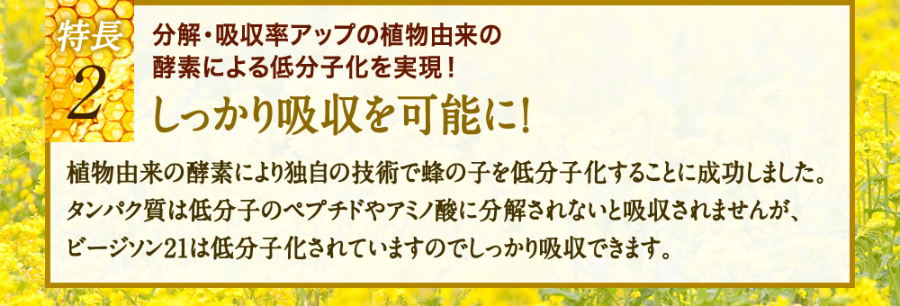 特長2、分解・吸収率アップの植物由来の酵素による低分子化を実現！しっかり吸収を可能に！