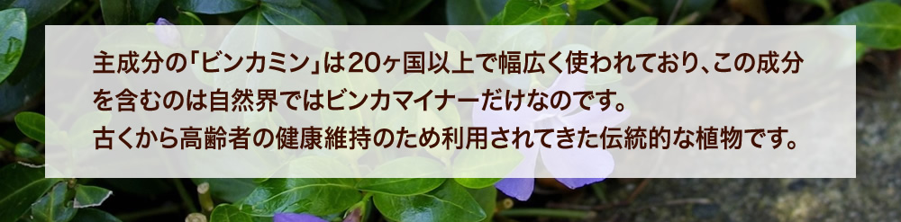 主成分の「ビンカミン」は20ヶ国以上で幅広く使われており、この成分を含むのは自然界ではビンカマイナーだけなのです。古くから高齢者の健康維持のため利用されてきた伝統的な植物です。
