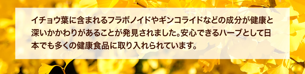 イチョウ葉に含まれるフラボノイドやギンコライドなどの成分が健康と深いかかわりがあることが発見されました。安心できるハーブとして日本でも多くの健康食品に取り入れられています。